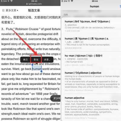 苹果手机网站自动翻译中文（苹果手机网站自动翻译中文吗）-图2