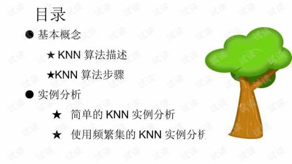 knn算法数据挖掘（knn算法报告）-图1