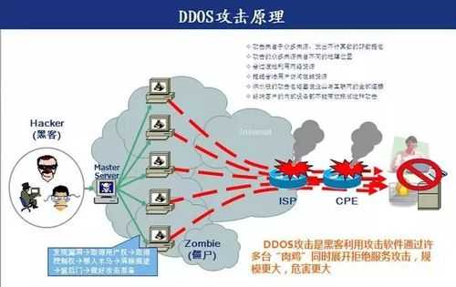 ddos防火墙免费（ddos防火墙的产品功能）-图2