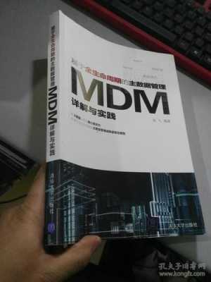 主数据管理mdm（主数据管理实践白皮书）