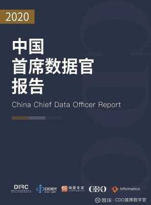 首席数据官（北京市首席数据官）-图3