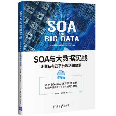 soa与大数据（soa与大数据企业私有云平台建设pdf）