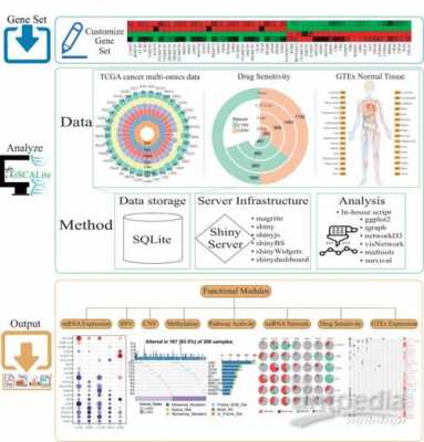 基因大数据分析（基因大数据分析的工具和实际医学应用）-图1