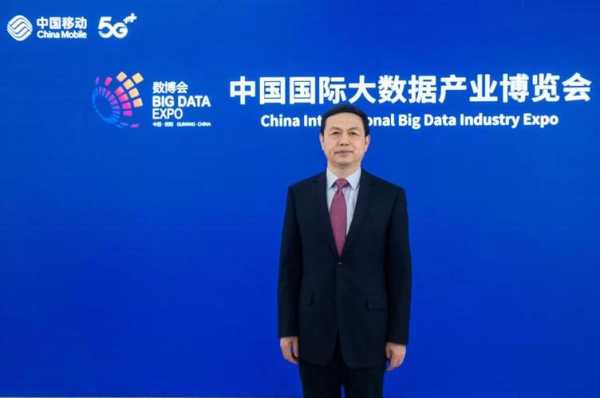 中国大数据协会（中国大数据协会会长）