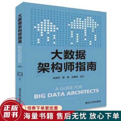 架构大数据pdf（大数据架构师指南 pdf）