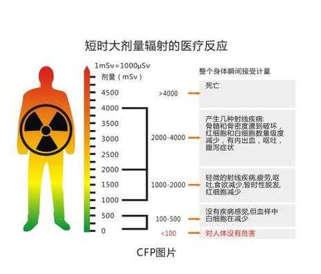 辐射有多少组织（辐射有多少组织组成）-图1