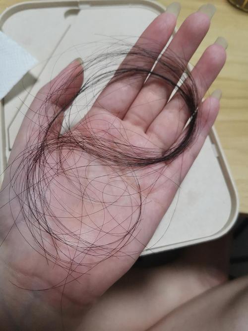 头发多少根脑筋（脑袋有多少根头发）-图1
