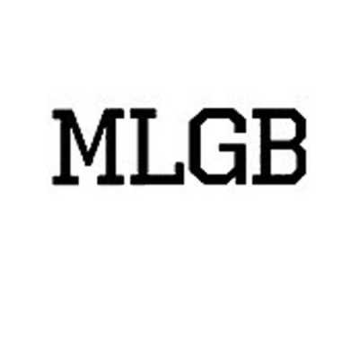 MLGB多少钱（mlgb币价格）-图2
