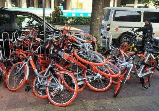 广州有多少种网约单车（广州有多少种网约单车类型）